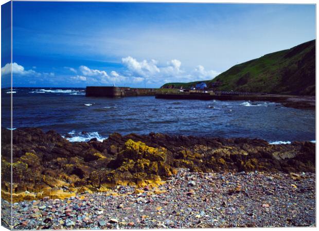 Burnmouth Harbour Canvas Print by Steven Watson