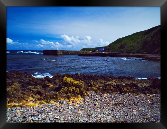 Burnmouth Harbour Framed Print by Steven Watson