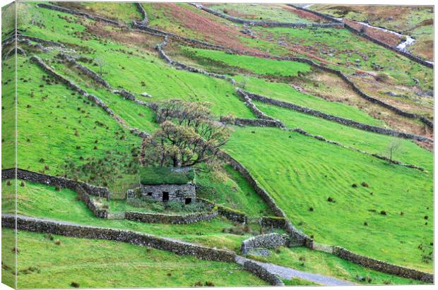 Stone Barn on the fells Canvas Print by CHRIS BARNARD