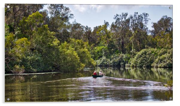 The Australian Everglades Acrylic by John Biggadike