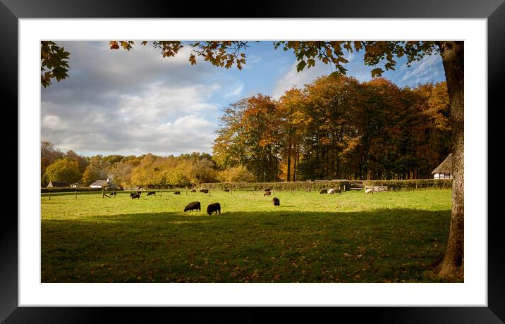 Autumn Scenic Framed Mounted Print by Richard Downs