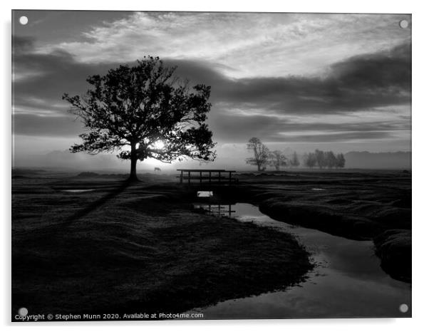 Sunrise, Longwater Lawn, New Forest National Park in black and white Acrylic by Stephen Munn