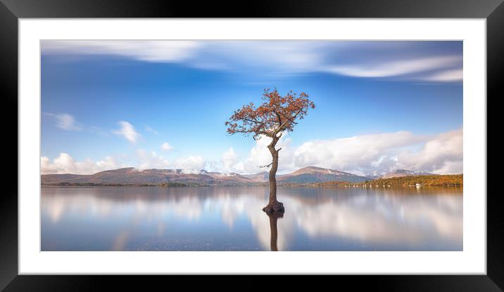  Loch Lomond Tree Framed Mounted Print by Grant Glendinning