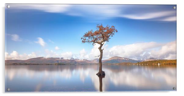  Loch Lomond Tree Acrylic by Grant Glendinning
