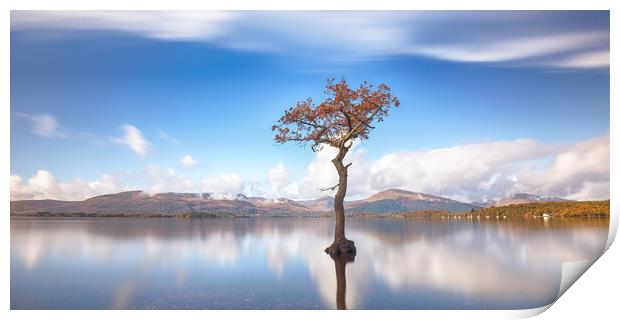  Loch Lomond Tree Print by Grant Glendinning
