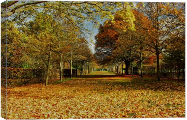 Autumnal Scene At Odney Club Canvas Print by Mick Vogel