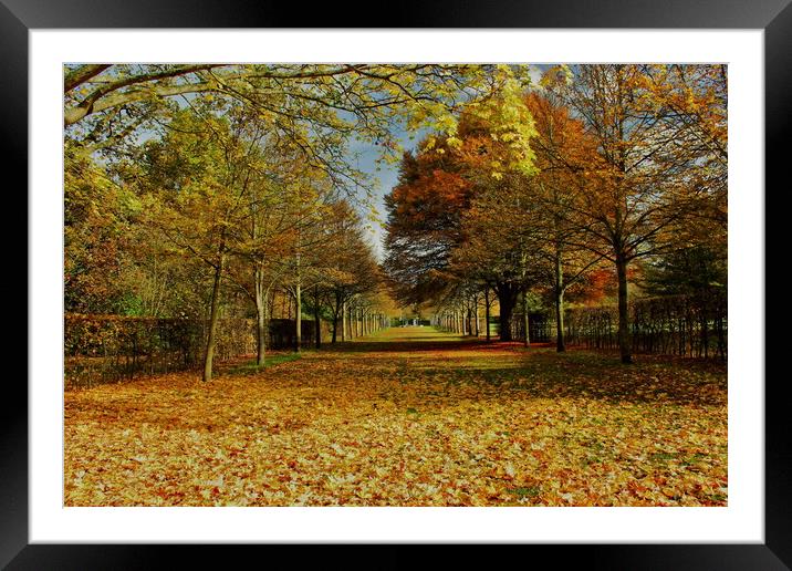 Autumnal Scene At Odney Club Framed Mounted Print by Mick Vogel
