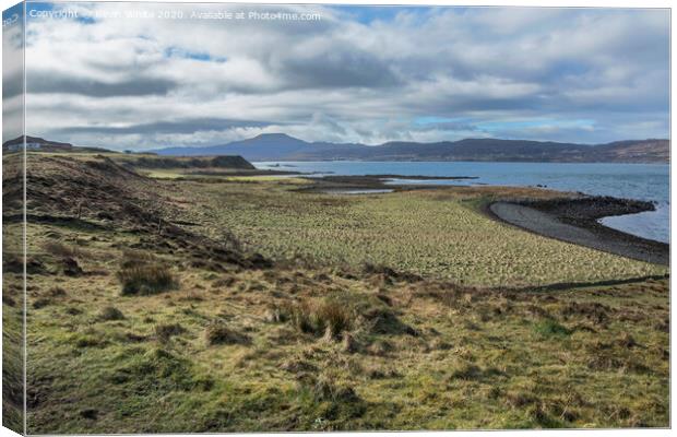 Walk along to Coral Beach Canvas Print by Kevin White