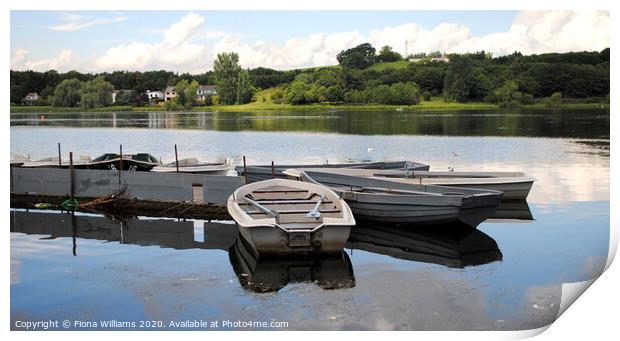 Rowing boats docked at Balloch loch Print by Fiona Williams