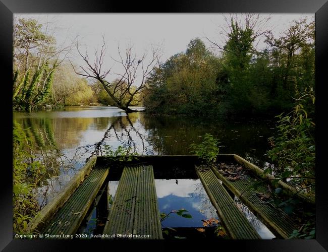 the fish sanctuary of birkenhead park Framed Print by Photography by Sharon Long 