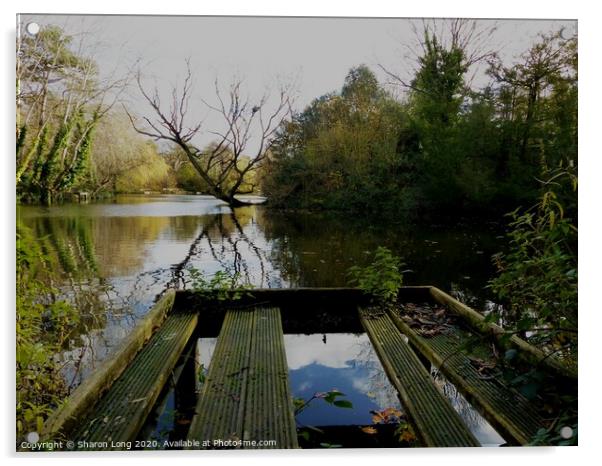 the fish sanctuary of birkenhead park Acrylic by Photography by Sharon Long 