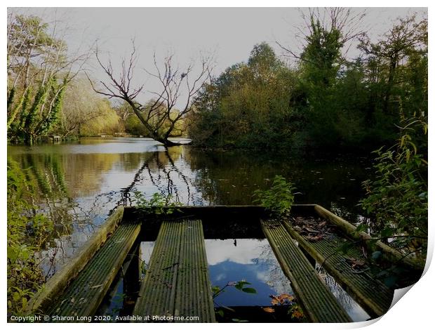the fish sanctuary of birkenhead park Print by Photography by Sharon Long 