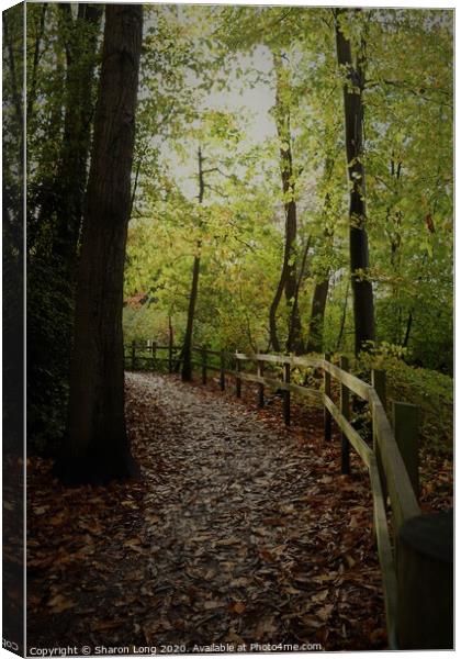 An Autumn walk in Eastham Woods Canvas Print by Photography by Sharon Long 