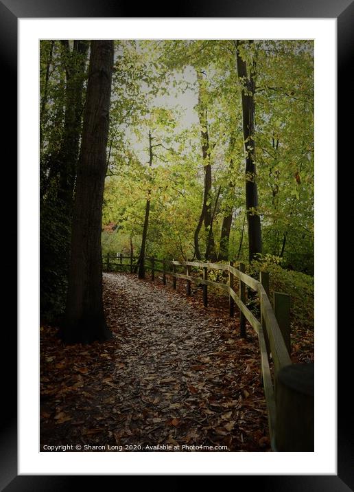 An Autumn walk in Eastham Woods Framed Mounted Print by Photography by Sharon Long 