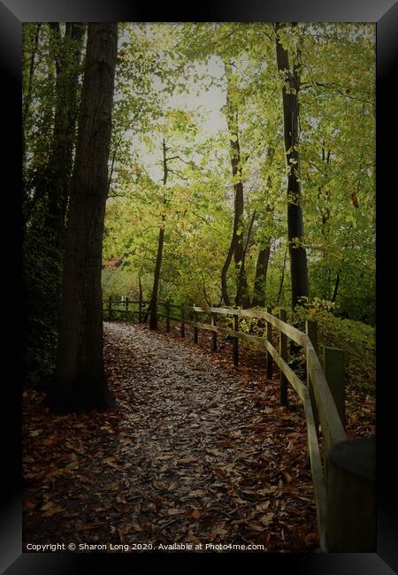 An Autumn walk in Eastham Woods Framed Print by Photography by Sharon Long 