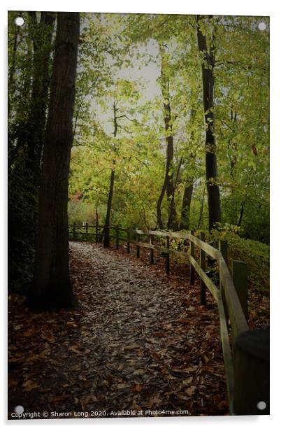 An Autumn walk in Eastham Woods Acrylic by Photography by Sharon Long 