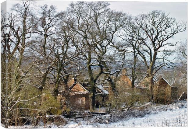 Derelict Farmhouse at Carbarns Farm in Netherton o Canvas Print by Fiona Williams