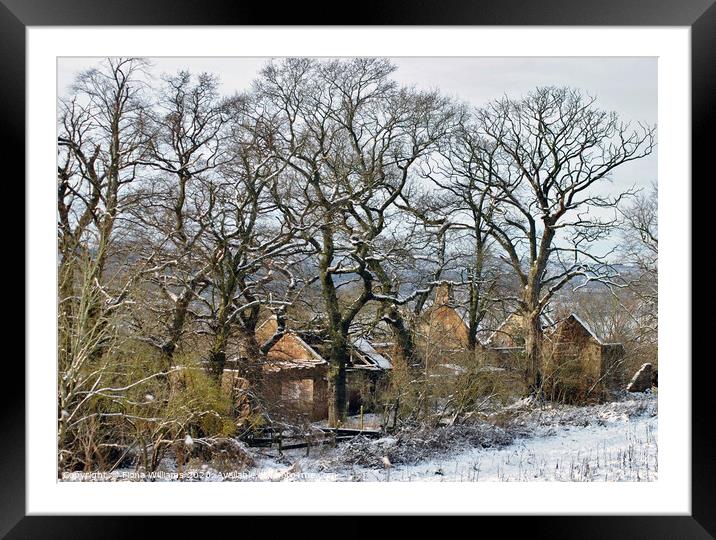 Derelict Farmhouse at Carbarns Farm in Netherton o Framed Mounted Print by Fiona Williams