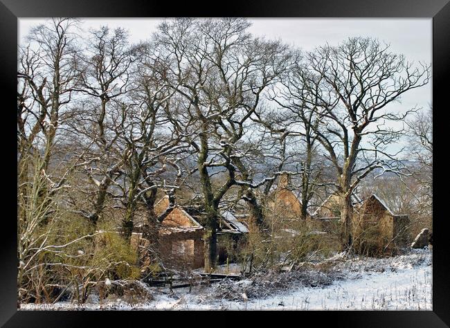 Derelict Farmhouse at Carbarns Farm in Netherton o Framed Print by Fiona Williams