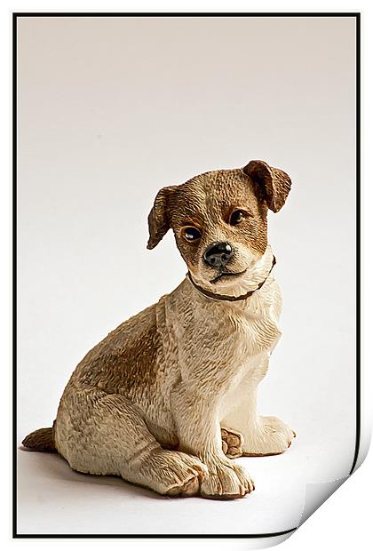 Puppy Dog Print by Doug McRae