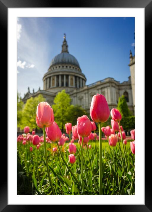 Spring in London Framed Mounted Print by John Hughes