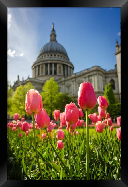 Spring in London Framed Print by John Hughes