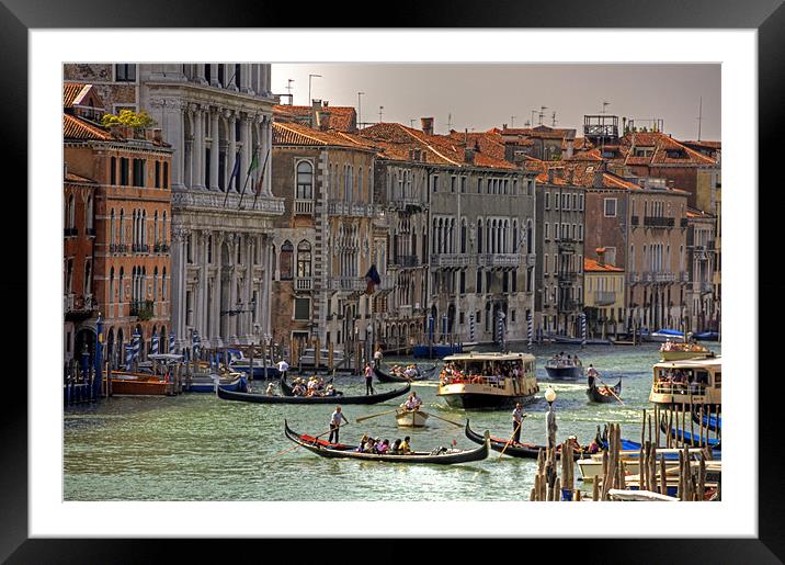 Messing about in boats Framed Mounted Print by Tom Gomez