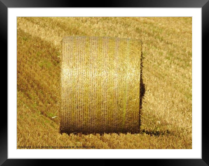 fields of gold Framed Mounted Print by sue jenkins