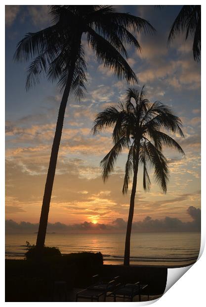 Tropical sunrise seascape with Palm trees at Huay Yang , Thailand. Print by Geoff Childs