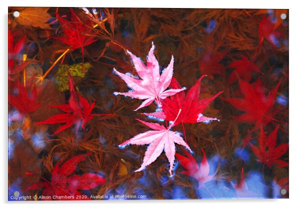 Floating Leaves Acrylic by Alison Chambers