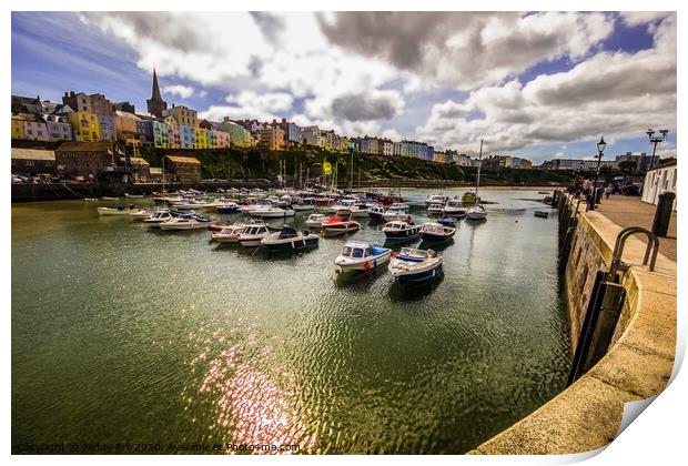 A View from Tenby Harbour Print by Paddy Art