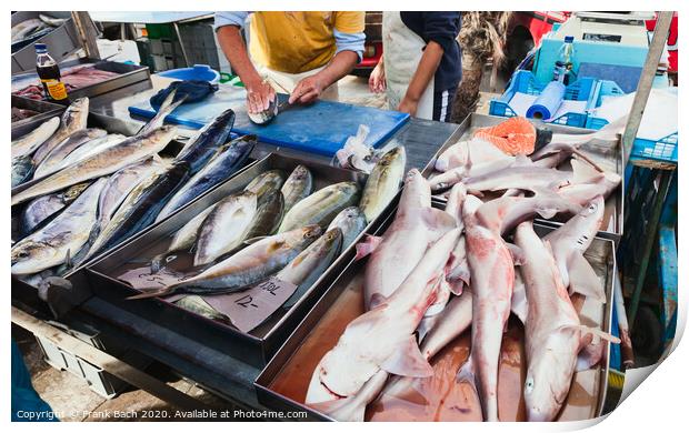 Raw fish on a market in Malta Print by Frank Bach