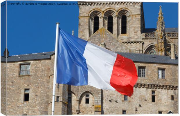 French flag Canvas Print by aurélie le moigne