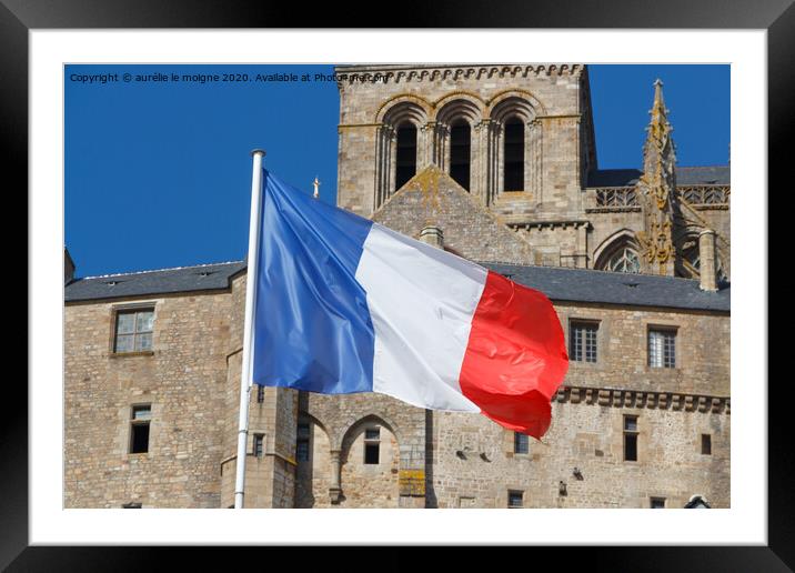 French flag Framed Mounted Print by aurélie le moigne