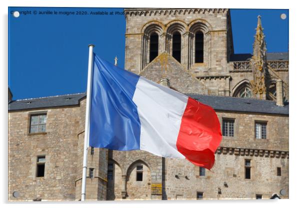 French flag Acrylic by aurélie le moigne