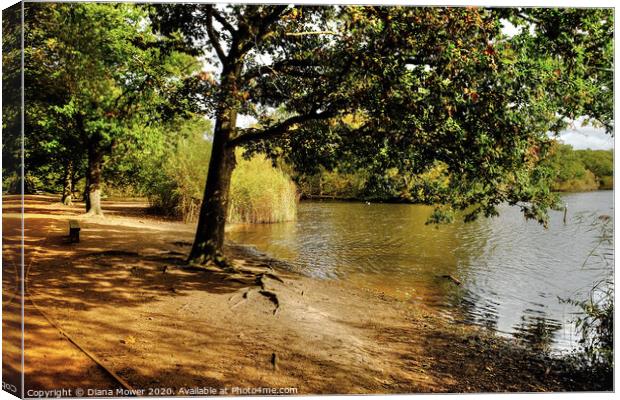 Connaught Water Epping Forest Canvas Print by Diana Mower