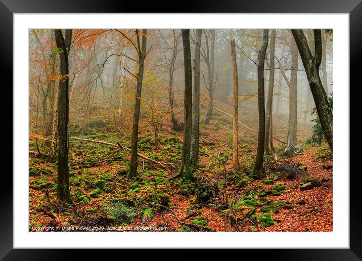 Forest of Dean Autumn Framed Mounted Print by Diana Mower