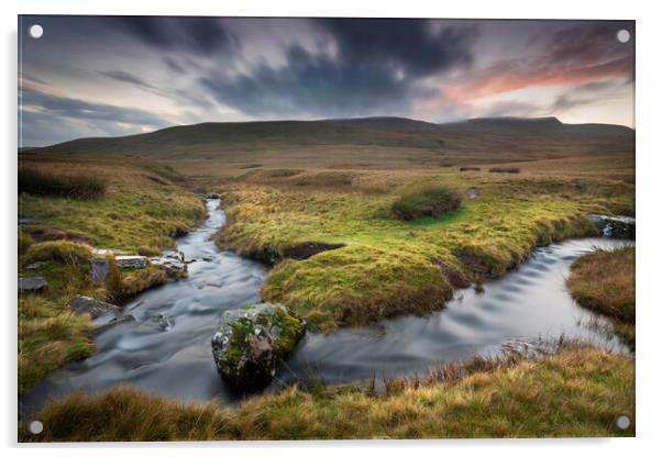 The meandering River Tawe Acrylic by Leighton Collins