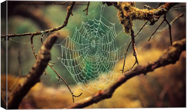 Spider's Web Canvas Print by Lee Kershaw