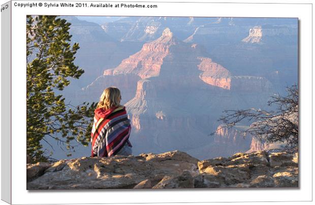 Enjoying a Sunset over the Grand Canyon Canvas Print by Sylvia White