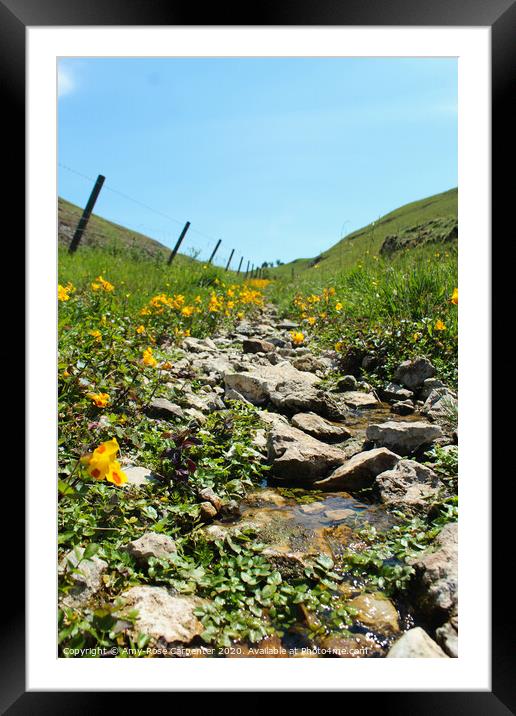 Dovedale walk to Thorpe cloud in spring  Framed Mounted Print by Amy-Rose Carpenter