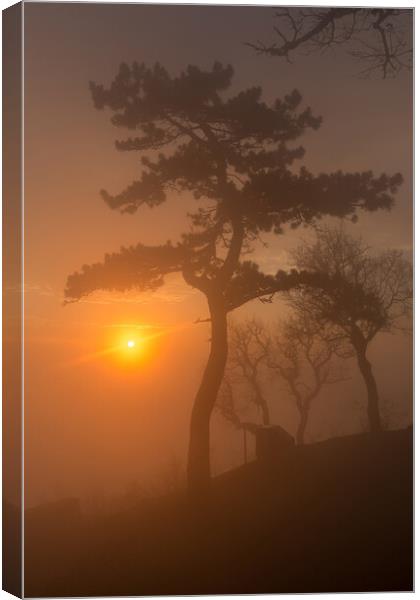 Beautiful sunset light in a foggy day Canvas Print by Arpad Radoczy