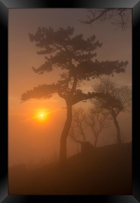 Beautiful sunset light in a foggy day Framed Print by Arpad Radoczy