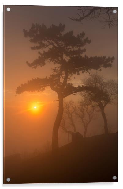 Beautiful sunset light in a foggy day Acrylic by Arpad Radoczy