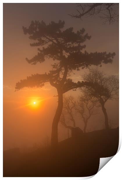 Beautiful sunset light in a foggy day Print by Arpad Radoczy