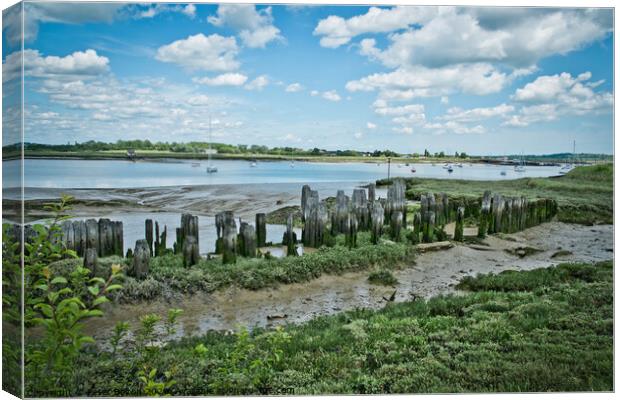 Ancient remains of fishing traps and a jetty at Fambridge on the River Crouch, Essex, UK.  Canvas Print by Peter Bolton