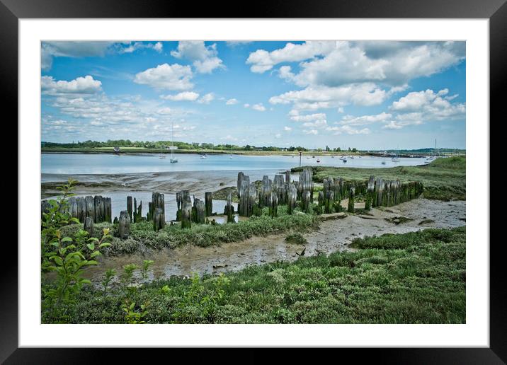 Ancient remains of fishing traps and a jetty at Fambridge on the River Crouch, Essex, UK.  Framed Mounted Print by Peter Bolton