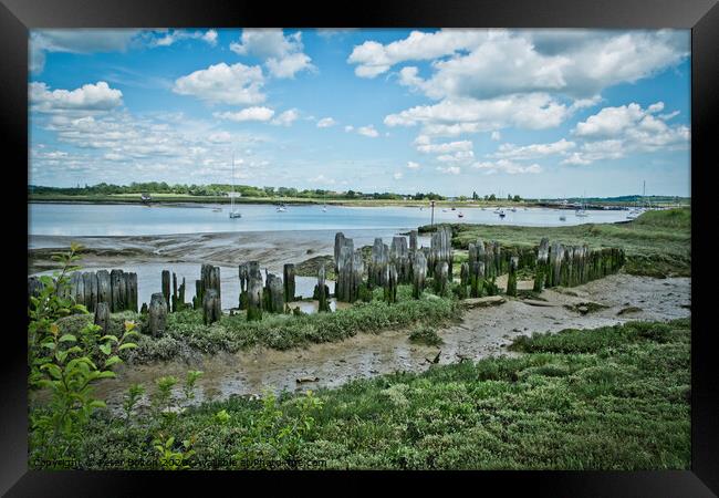 Ancient remains of fishing traps and a jetty at Fambridge on the River Crouch, Essex, UK.  Framed Print by Peter Bolton