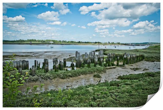 Ancient remains of fishing traps and a jetty at Fambridge on the River Crouch, Essex, UK.  Print by Peter Bolton