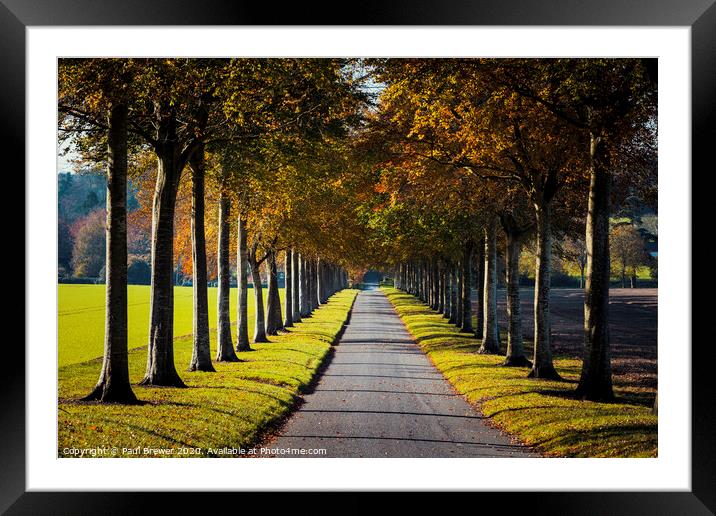 Moor Critchel Avenue Framed Mounted Print by Paul Brewer
